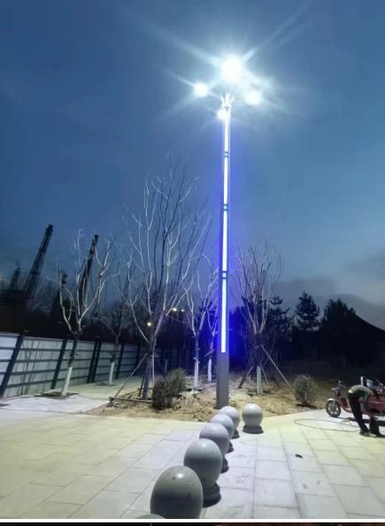 园博会园区智慧路灯夜景（灯杆屏+多光源）