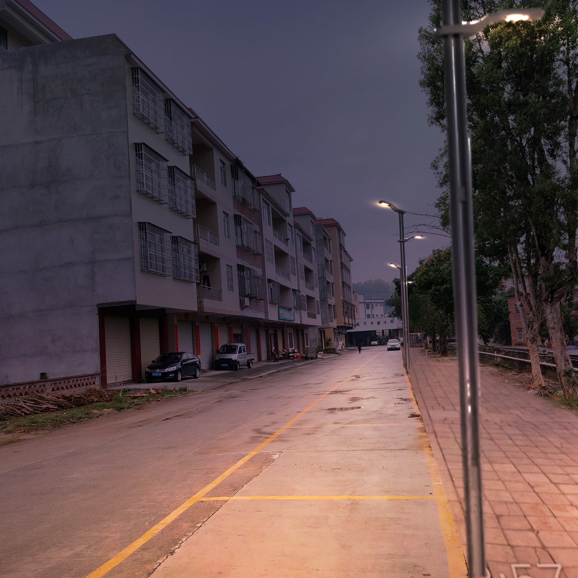 云浮市云城区南盛镇美丽圩镇创建路灯项目现场实景（傍晚亮灯）