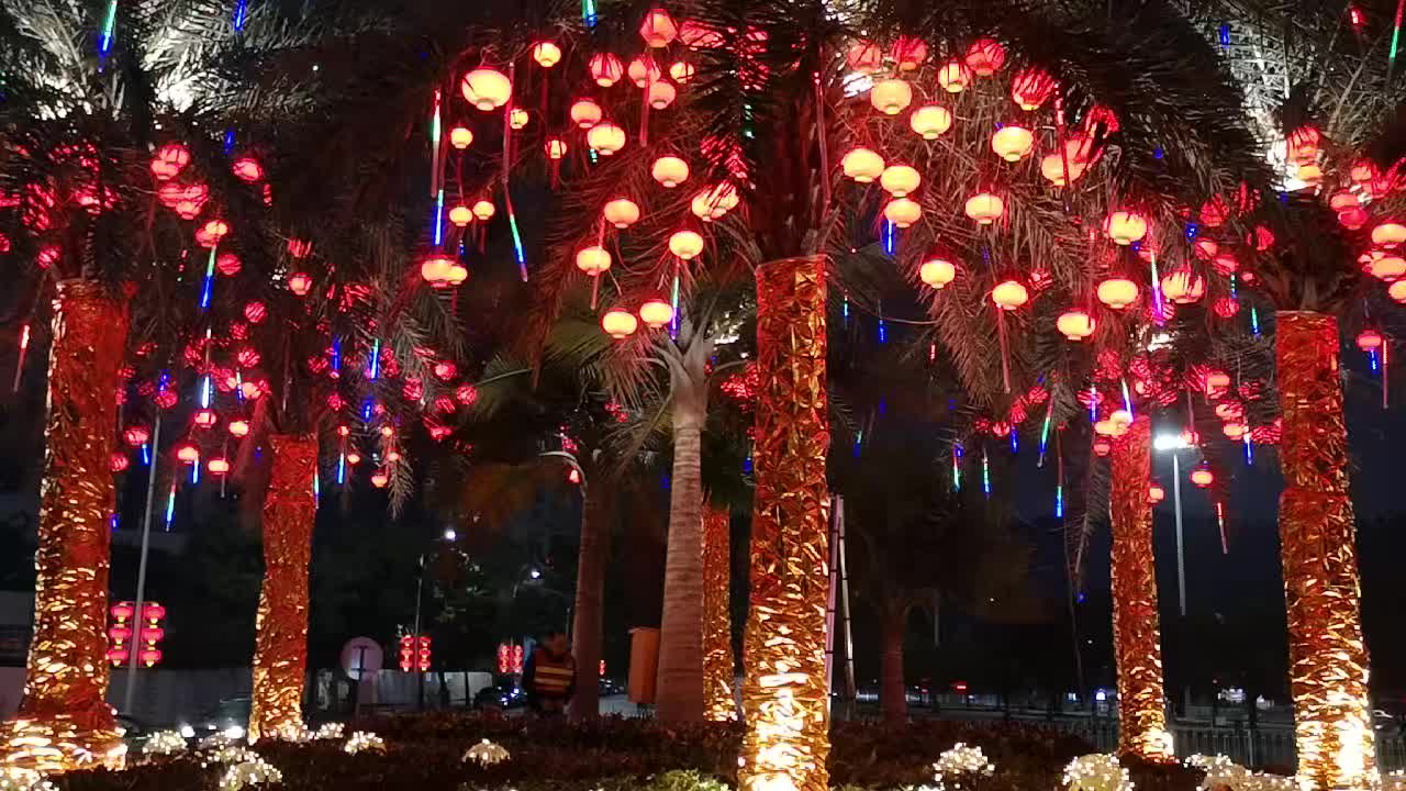 珠海前山街道2019年春节树木灯笼亮化实景